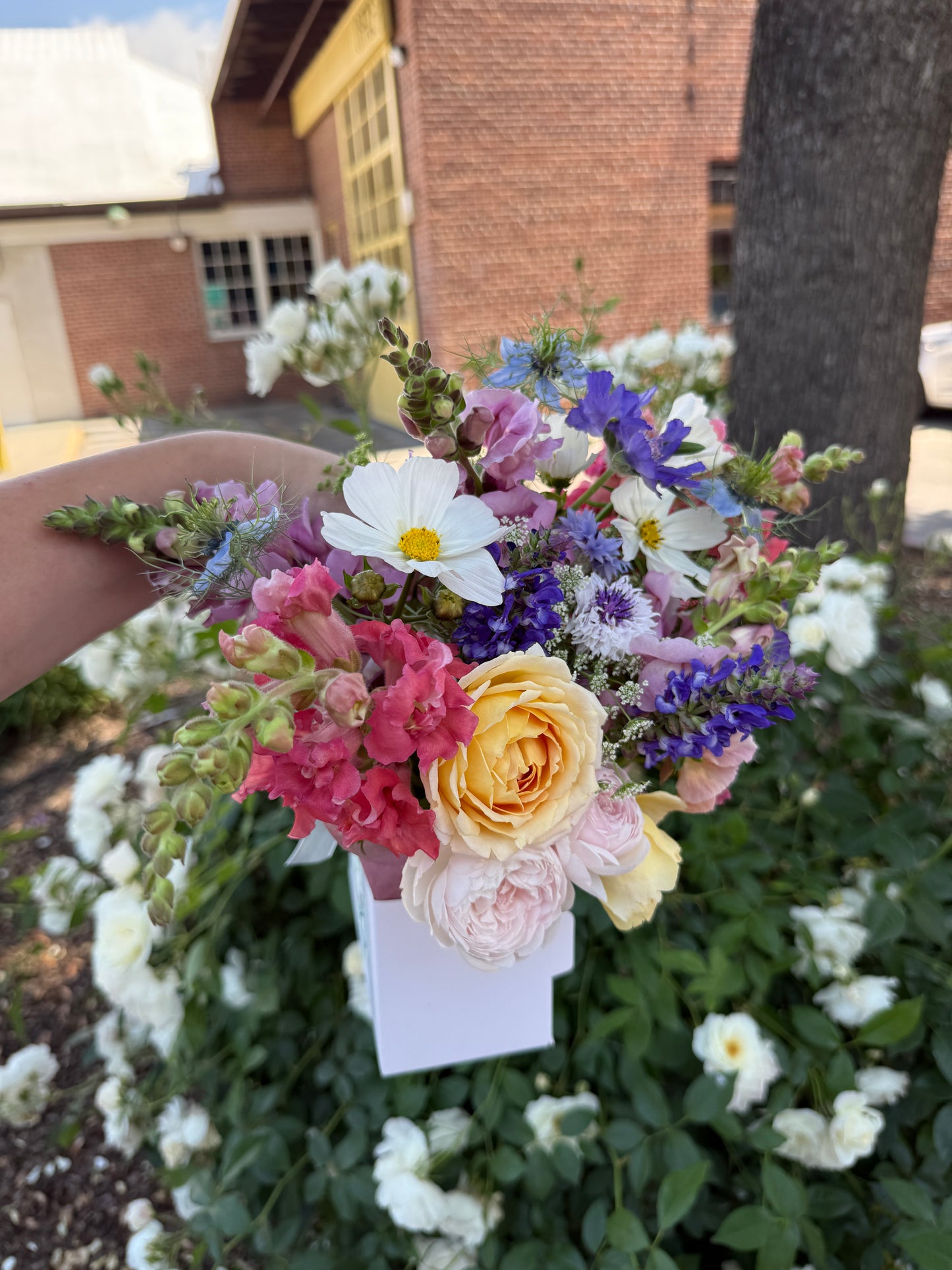 Flowers & Coffee