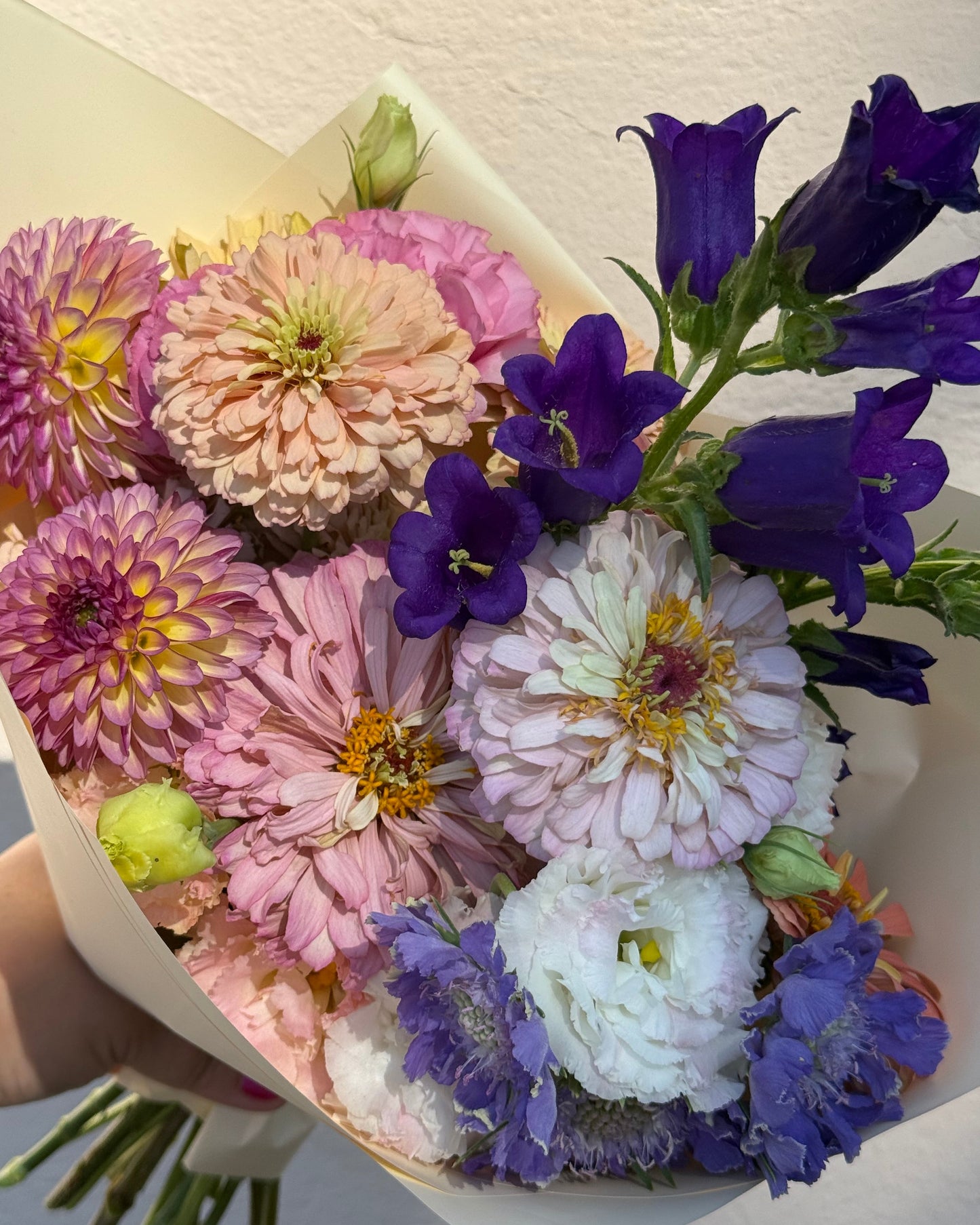Bloom Club Membership