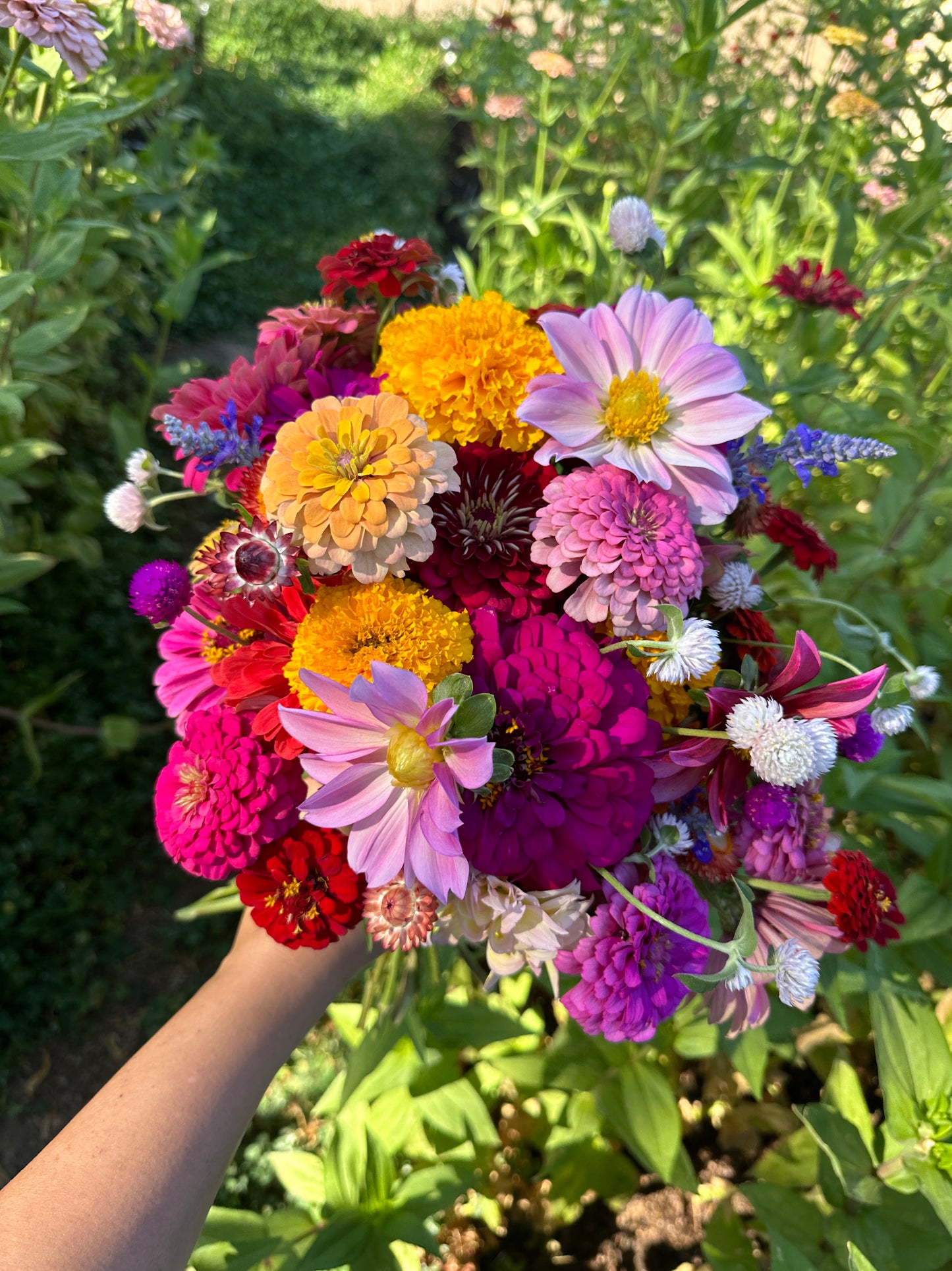 Bloom Club ~ August 2025