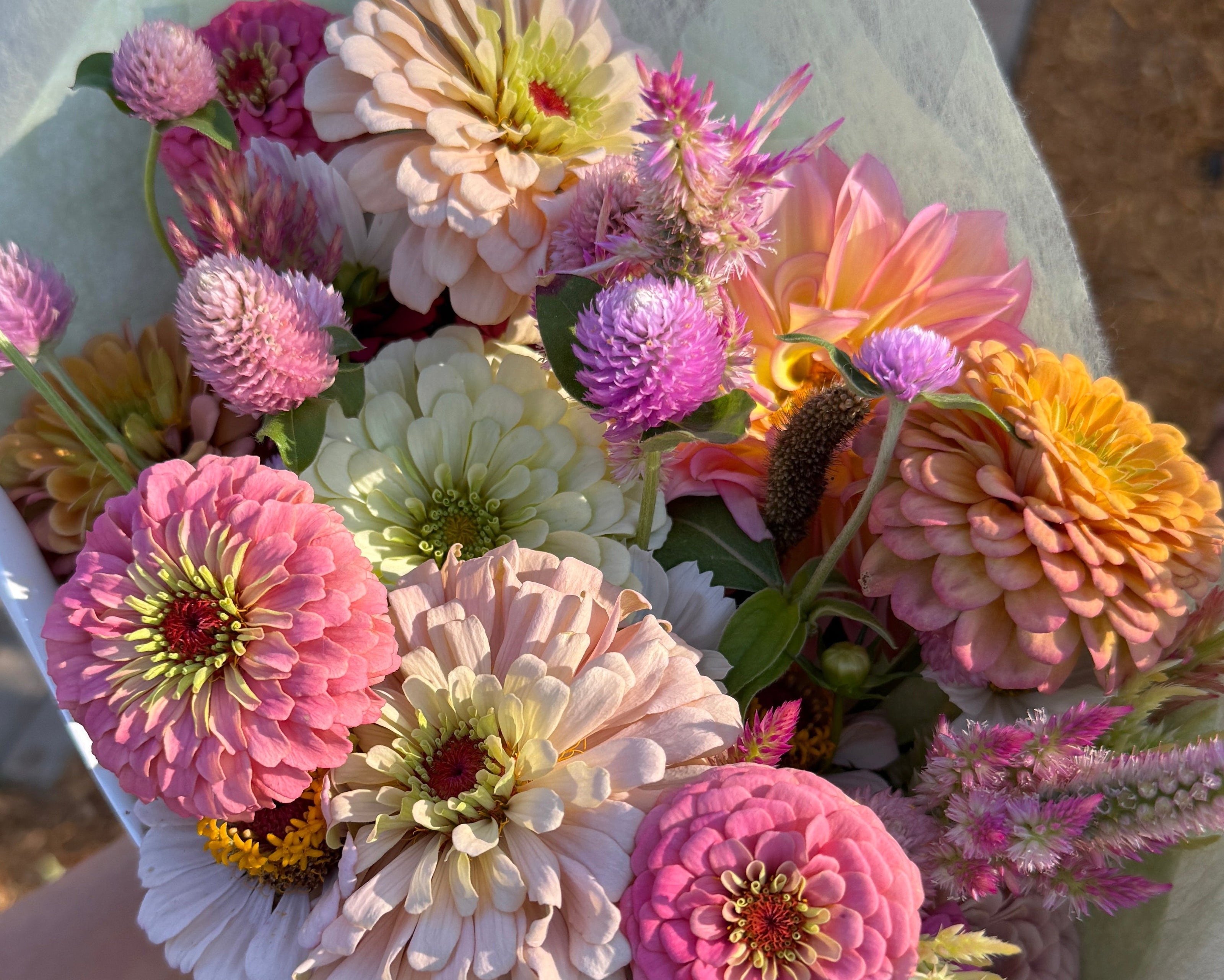A hand holding a vibrant bouquet of mixed wildflowers, including pink, purple, orange, and white blossoms, wrapped in light blue-gray tissue paper, set against an outdoor background.