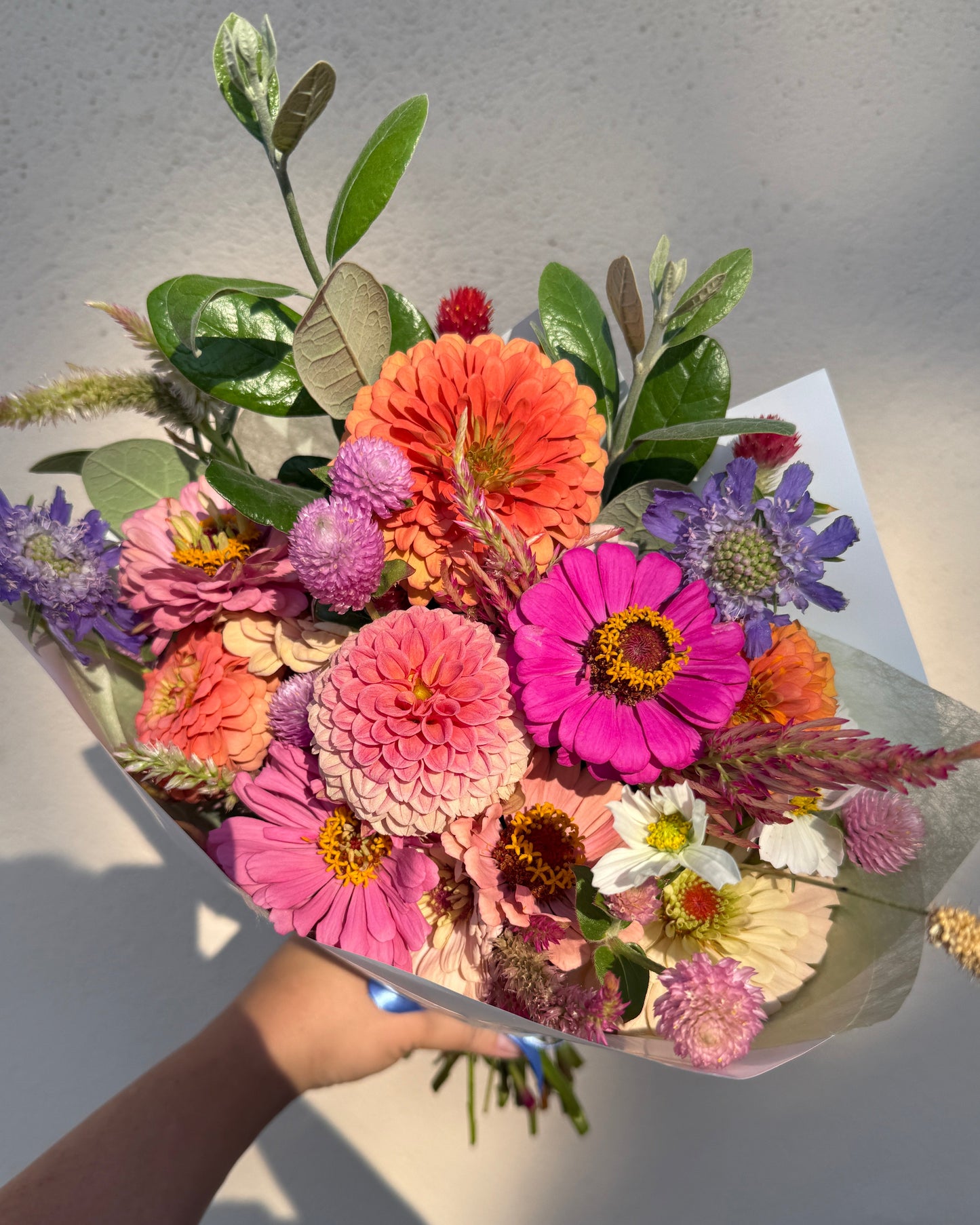 Bloom Club Membership