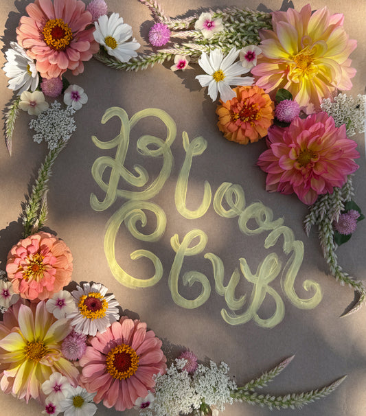 Bloom Club ~ August 2025